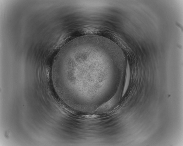 X0000096940363200802081211