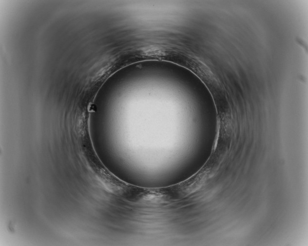 X0000096940364200802081211