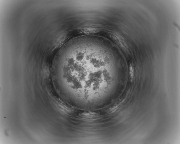 X0000096940367200802081211