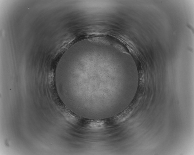X0000096940369200802081211