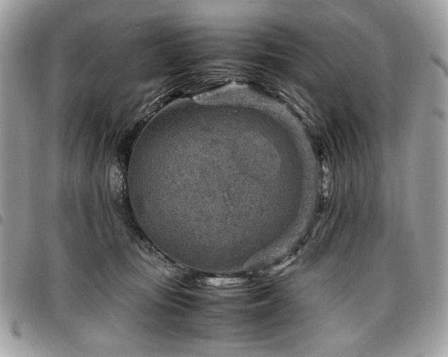 X0000096940371200802081211