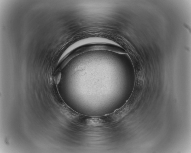 X0000096940372200802081211