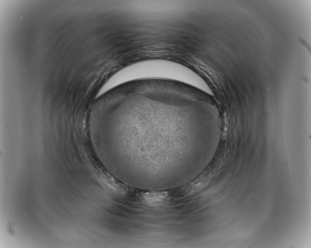 X0000096940373200802081211