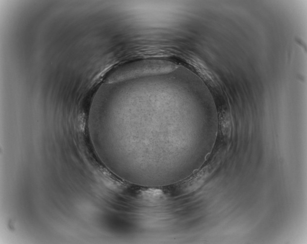 X0000096940374200802081211