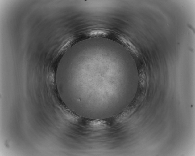 X0000096940375200802081211