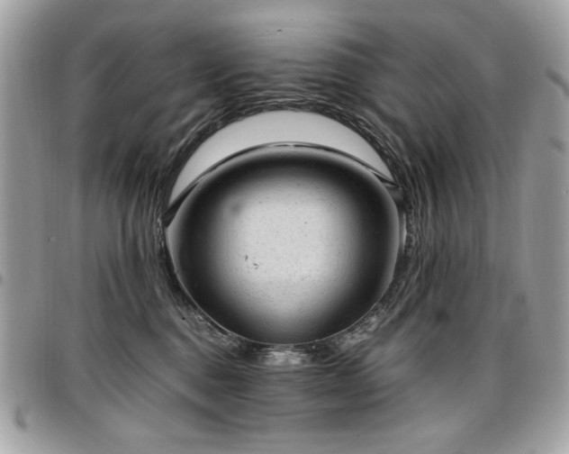 X0000096940376200802081212