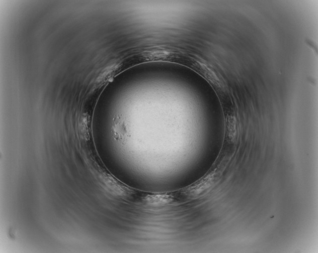X0000096940378200802081212