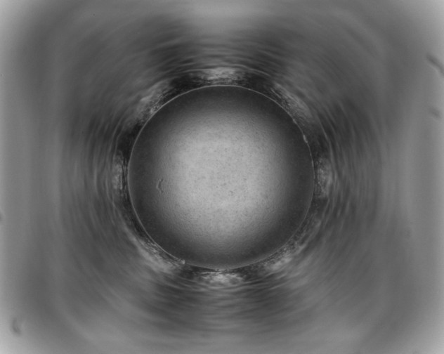X0000096940379200802081212