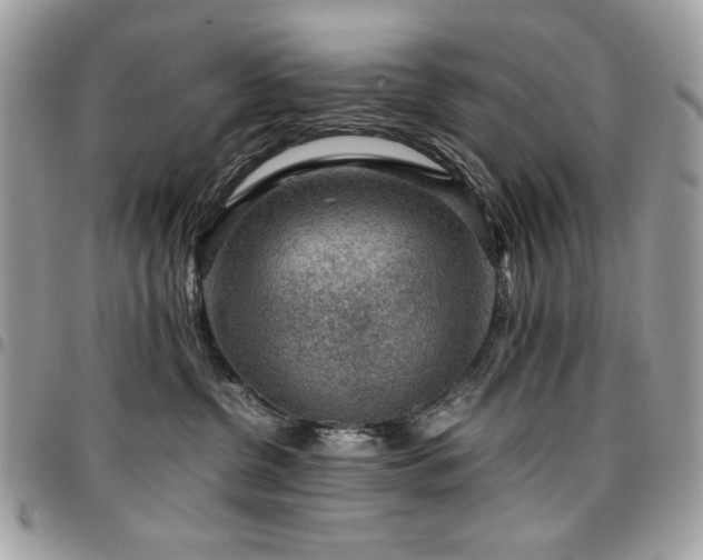 X0000096940380200802081212