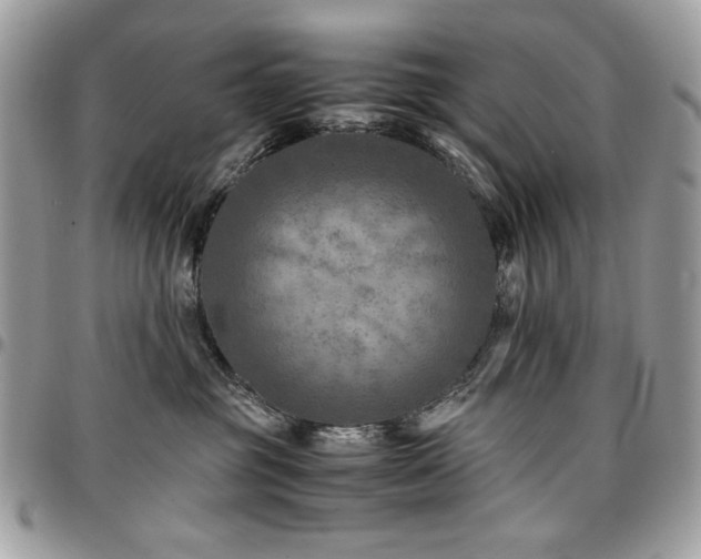 X0000096940381200802081212
