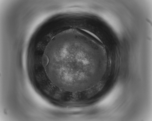 X0000096940383200802081212