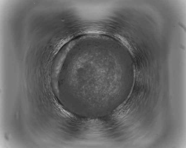 X0000096940385200802081211