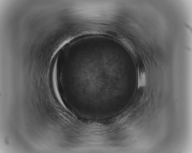 X0000096940387200802081211