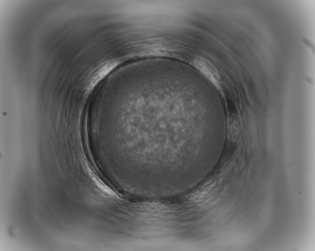 X0000096940389200802081211