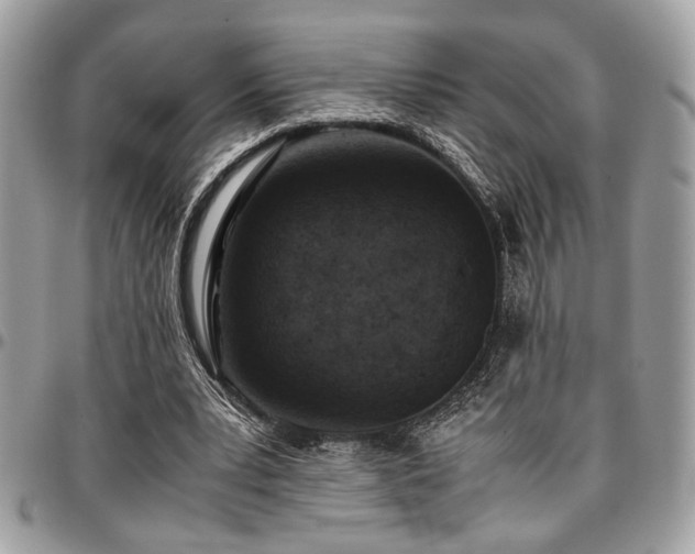 X0000096940391200802081211