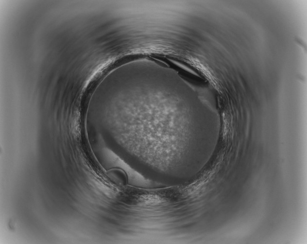 X0000096940392200802081211