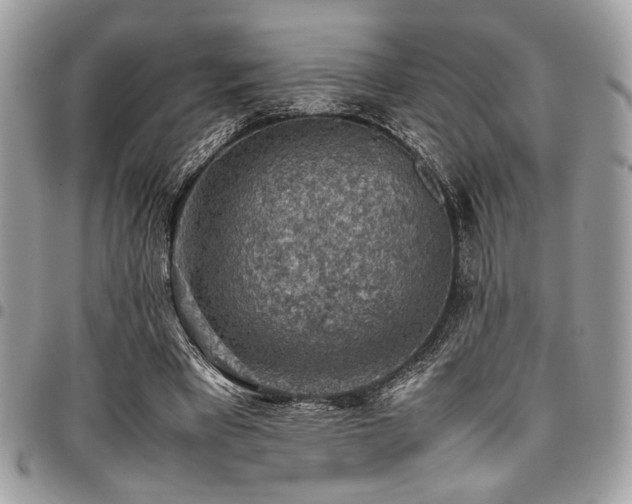 X0000096940393200802081211