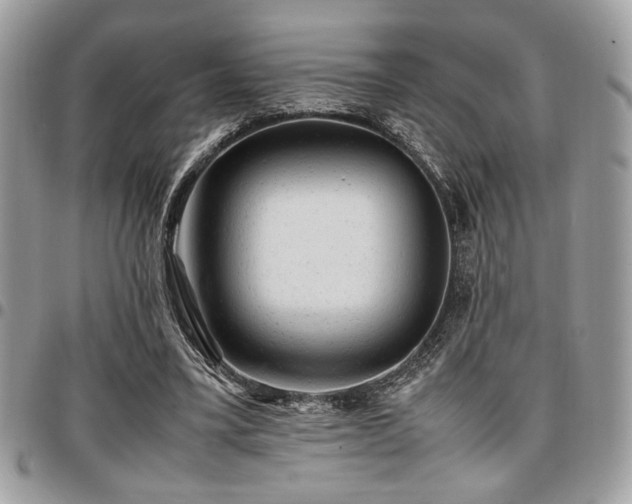 X0000096940395200802081211