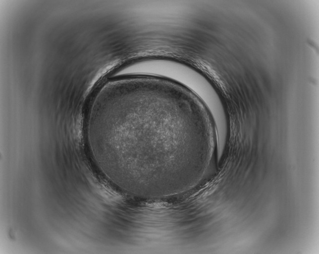 X0000096940396200802081211