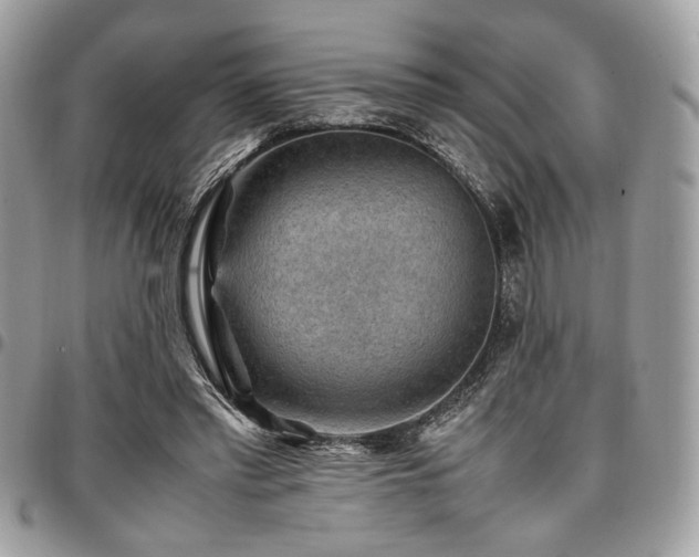 X0000096940397200802081211