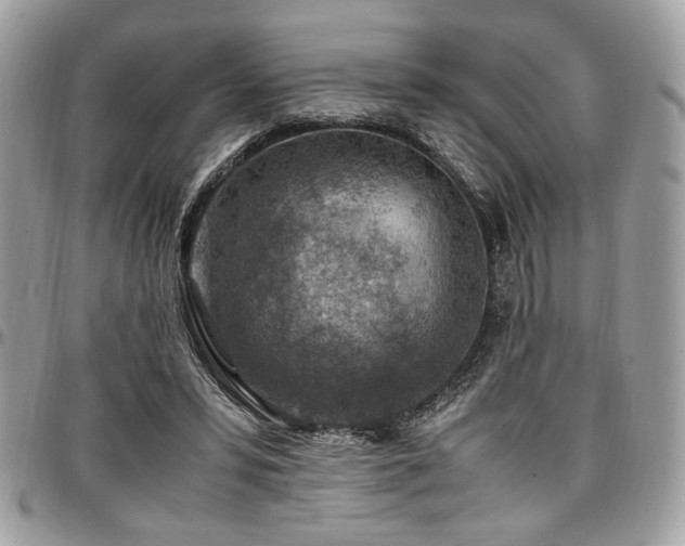 X0000096940399200802081211