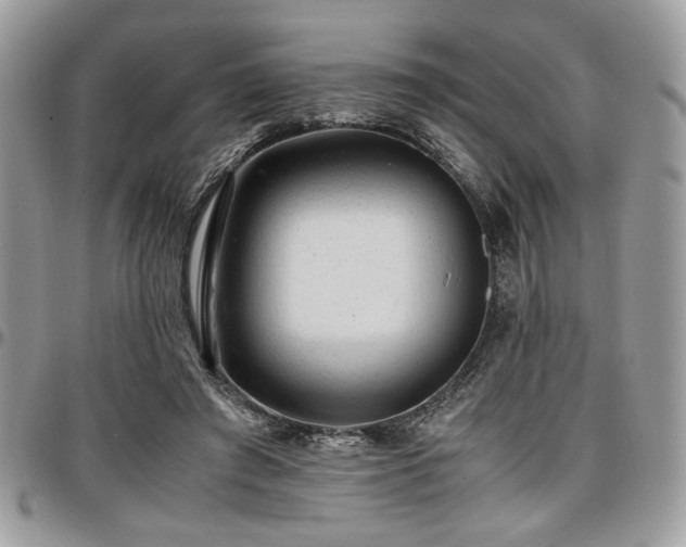 X0000096940401200802081211