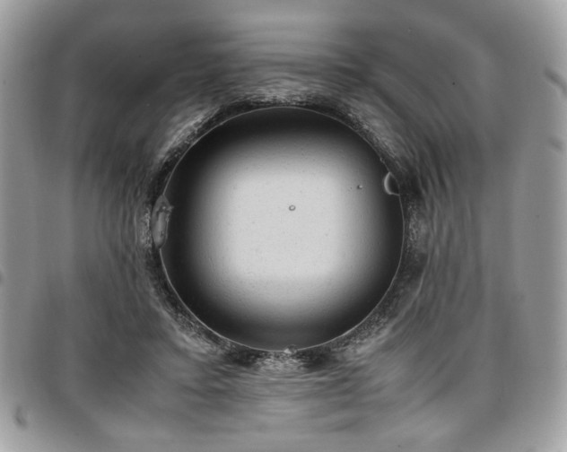 X0000096940403200802081211