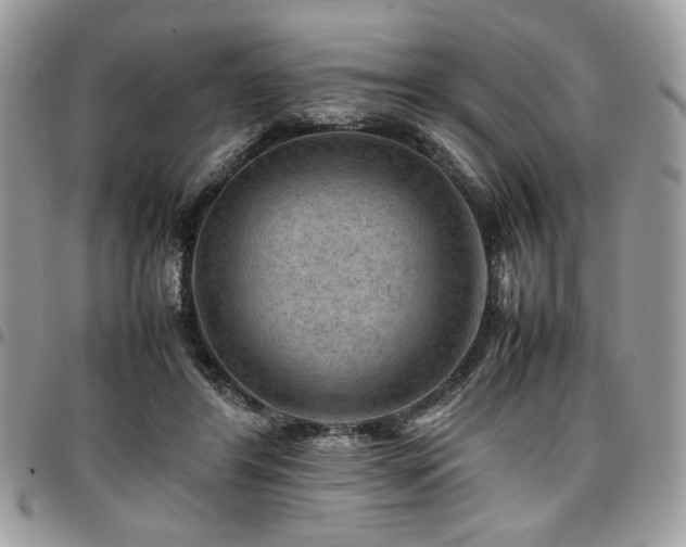 X0000096940404200802081211