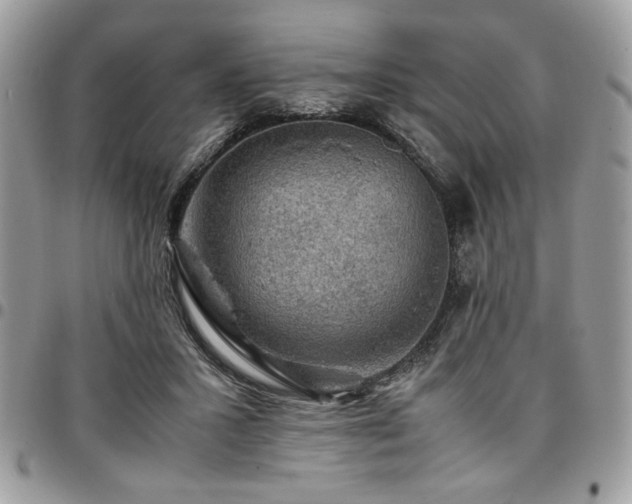 X0000096940407200802081211