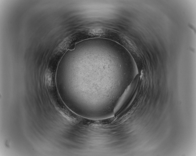 X0000096940408200802081211