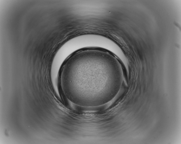 X0000096940409200802081211