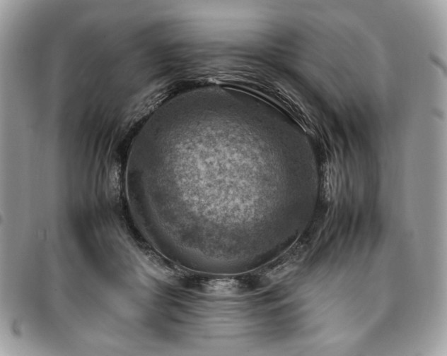 X0000096940410200802081211
