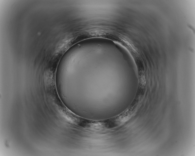 X0000096940411200802081211