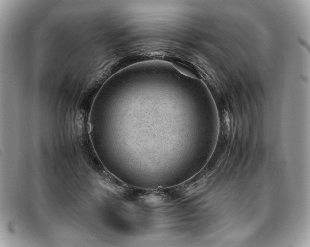X0000096940412200802081211