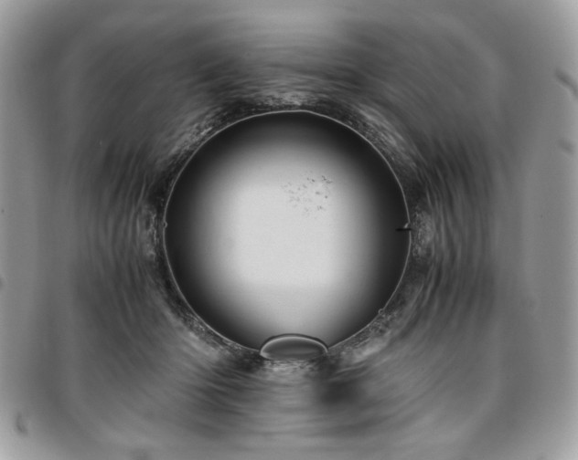 X0000096940414200802081211