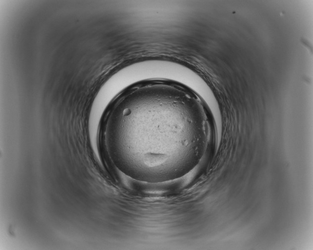X0000096940415200802081211
