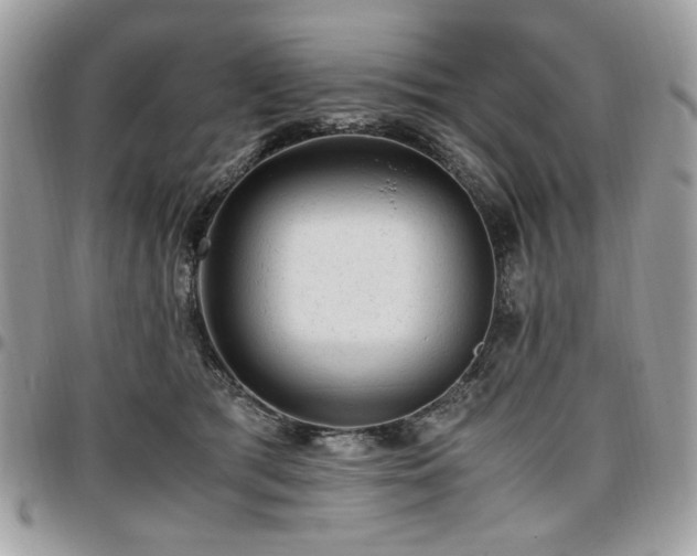 X0000096940417200802081211