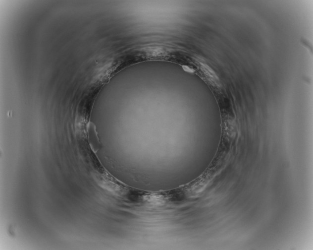 X0000096940419200802081210