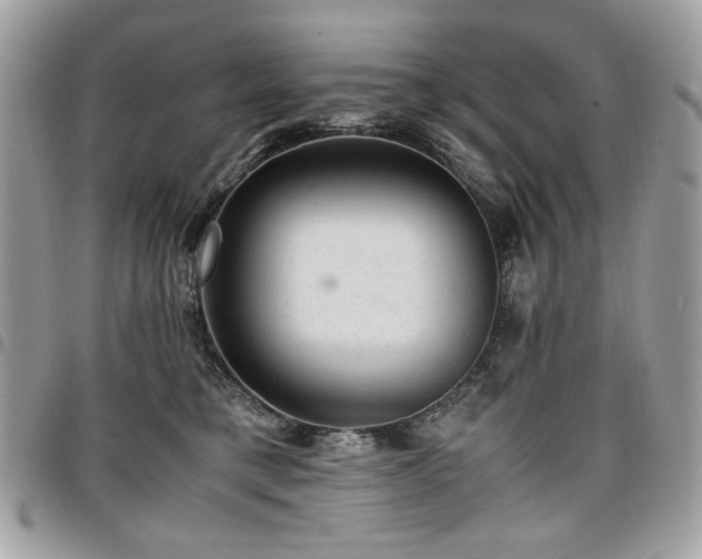 X0000096940421200802081210