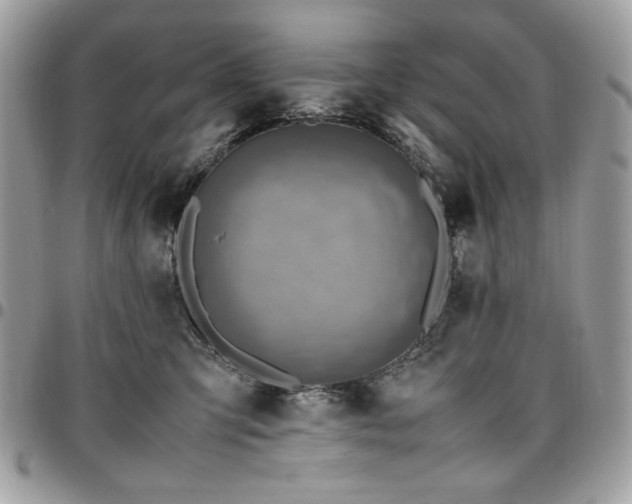 X0000096940423200802081210