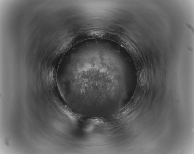 X0000096940424200802081210