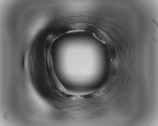 X0000096940429200802081210