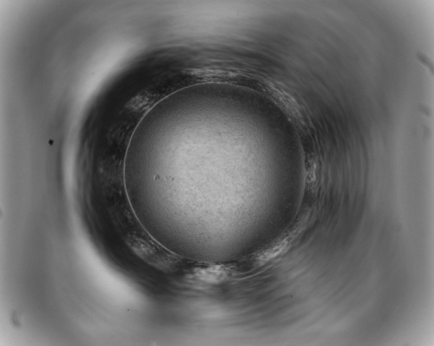 X0000096940430200802081210
