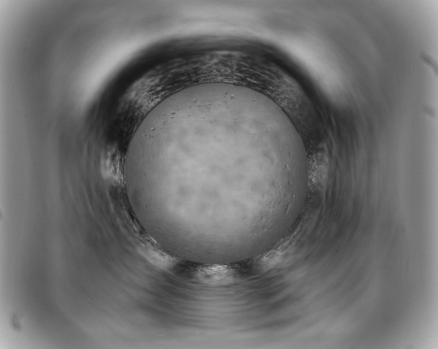 X0000096940431200802081210
