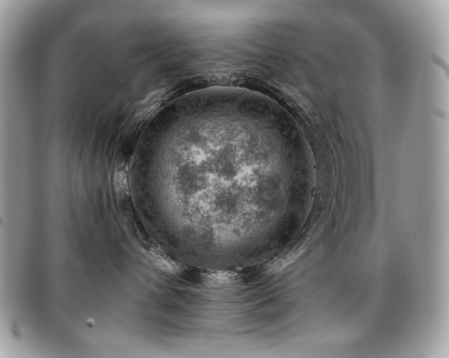 X0000096940432200802081210