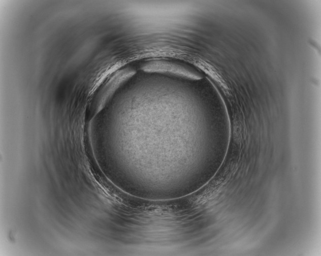 X0000096940434200802081210