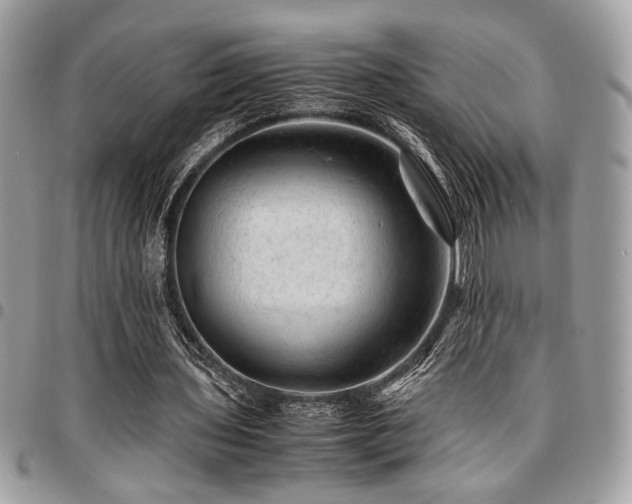 X0000096940435200802081210
