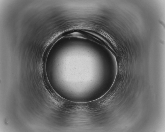 X0000096940436200802081210