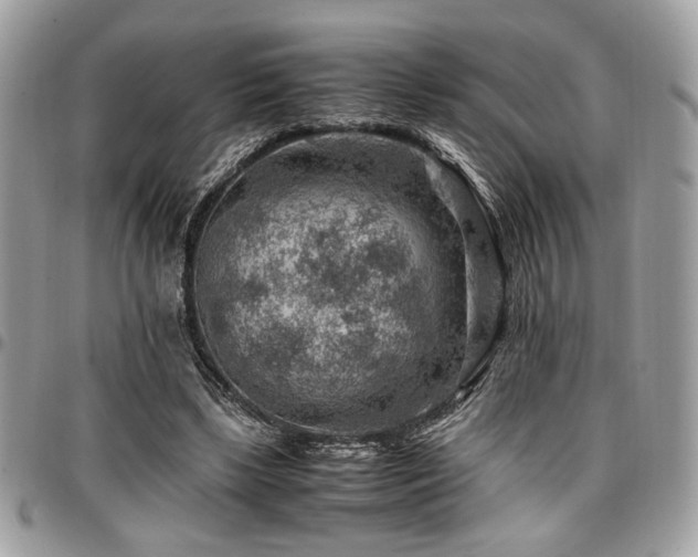 X0000096940443200802081210