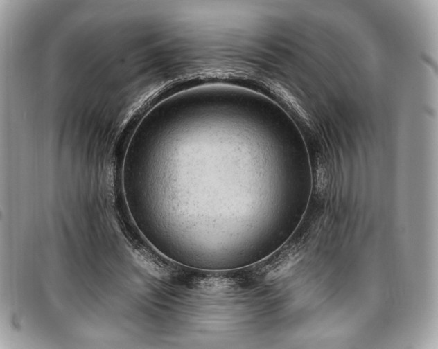 X0000096940444200802081210